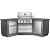 Napoleon Oasis 200 BIPRO500 Outdoor Kitchen