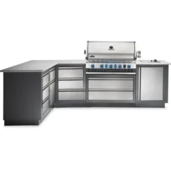 Napoleon Oasis 300 BIPRO665 Outdoor Kitchen