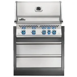 Napoleon Oasis BIPRO500 Cabinet Combo